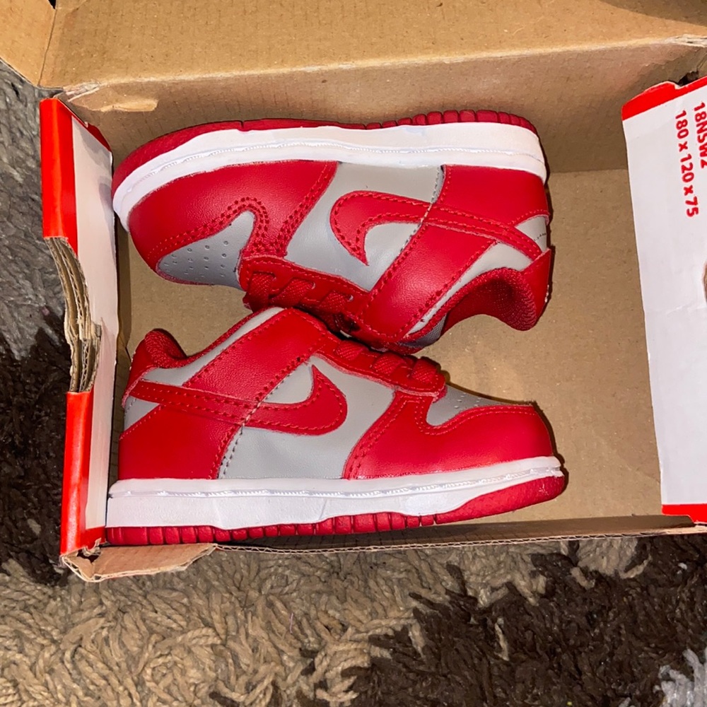 Toddler Nike dunks